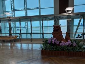 IMG_4349