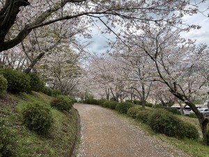 IMG_4362