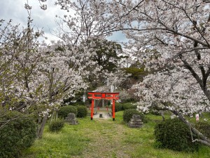 IMG_4394
