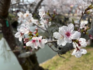 IMG_5079