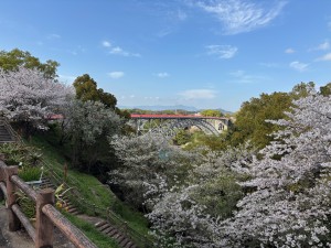 IMG_5137