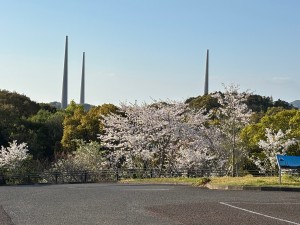 IMG_5141