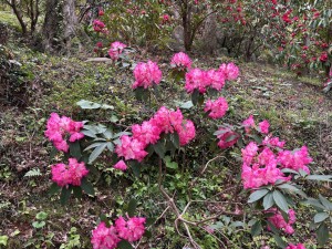 IMG_5147