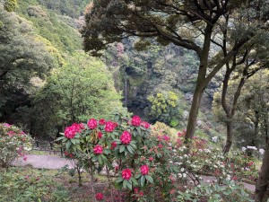 IMG_5171